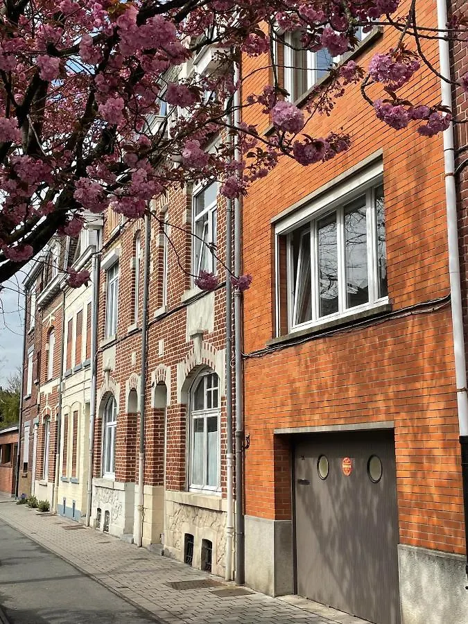Villa La Chambre Jaune Maison Avec Grande Terrasse Et Garage Prive à Lille